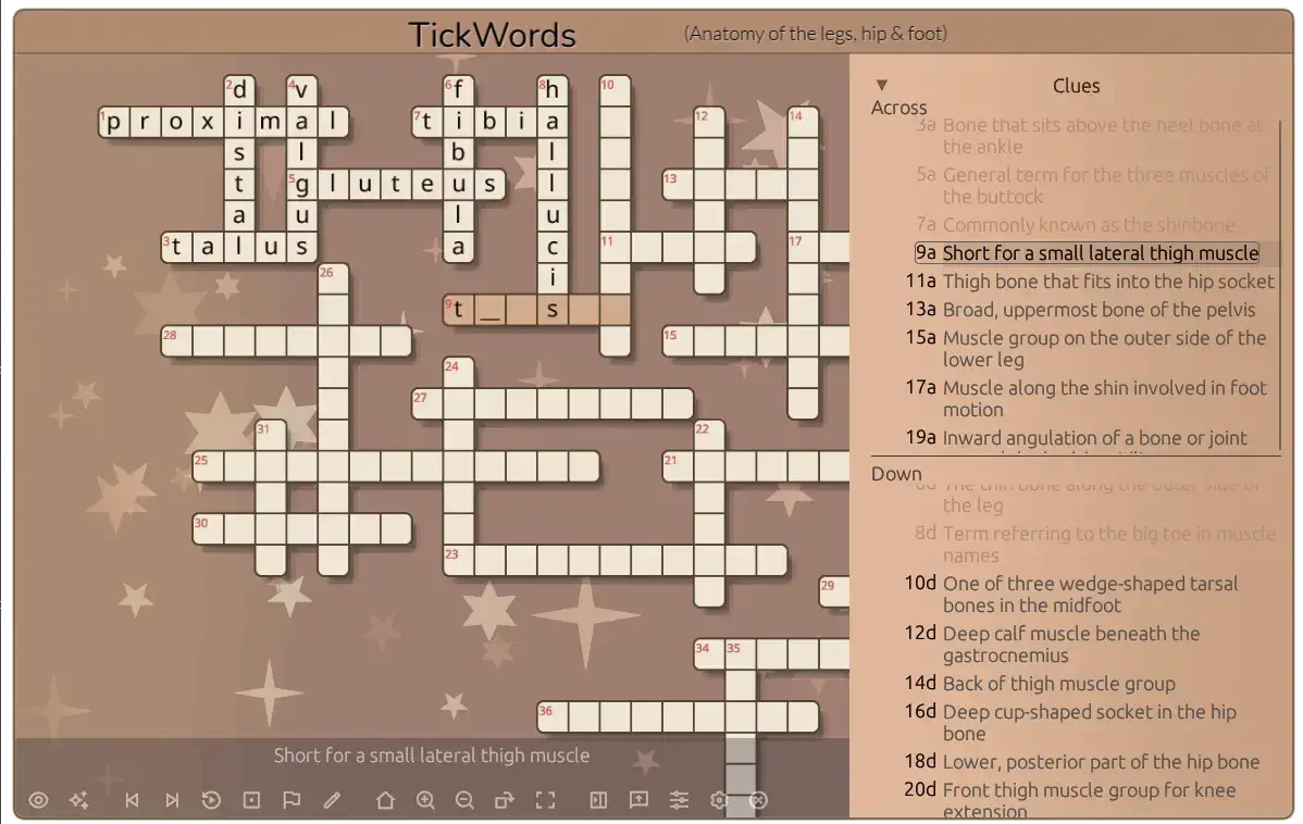 Sample crossword large